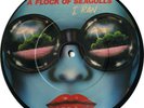 A FLOCK OF SEAGULLS - I Ran  - Rare PICTURE DISC - 45rpm 7