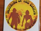 SURFING SURF VINYL LP  OST OF THE FILM MORNING OF THE EARTH MICHAEL PETERSON