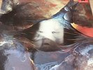 TANGERINE DREAM: ATEM - ORIGINAL 2383297-A UK VINYL ALBUM ON POLYDOR FROM 1973