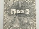 The Paisleys COSMIC MIND AT PLAY Rare Psych LP Peace ORIGINAL