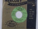 Doo Wop R&B 45 DEL VIKINGS A Sunday Kind Of Love MERCURY promo HEAR