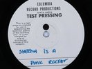 Punk 45 RAMONES Sheena Is A Punk Rocker VG+ test pressing HEAR