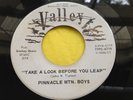 Rare Bluegrass Boogie 45 : Pinnacle Mtn. Boys   Pinnacle Mtn. Breakdown   Valley