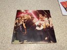 NEW YORK DOLLS IN TOO MUCH TOO SOON MERCURY VINYL LP record CBGB Punk Glam 1st