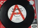 Very Rare Original DEMO The Chasers. Inspiration/She's gone away. Beat 1960's