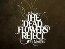 MANSUN The Dead Flowers Project LP WHITE VINYL RSD 2020 Sold Out Rare