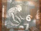 PIXIES Doolittle LP 180 Gram VINYL MFSL Limited #ed Mobile Fidelity