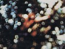 PINK   FLOYD ,  Obscured   By    Clouds    ( record V.G.++ cover V.G.++ )