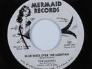 Teen Folk 45 MASCOTS Blue Birds Over The Mountain MERMAID VG+ HEAR