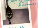 Helge Schneider & Hardcore Katzeklo Vinyl Single 7inch NEAR MINT Electrola