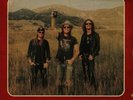 CADILLAC THREE, The - Country Fuzz - Vinyl (gatefold 2xLP + insert)