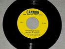 CAULDRON OF BLOOD / CRUCIBLE OF HORROR vintage 70s radio spot set 45RPM