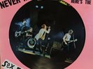 Sex pistols - Never Mind the Bollocks Picture Disk Vinyl Record 1977