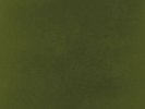 Kendrick Lamar Untitled Unmastered Record