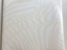 BEACH HOUSE -TEEN DREAM Clear Vinyl LOVE RECORD STORES 2020 LRSD