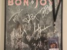 bon jovi SIGNED slippery when wet Record FRAMED with vintage tour pass 1989