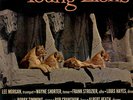 Young Lions, The - The Young Lions (Vinyl LP - 1960 - US - Original)