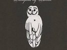 Trampled by Turtles - Palomino [New Vinyl LP]