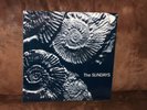 Vinyl-LP: THE SUNDAYS - Reading, Writing And Arithmetic (1990) German 1st Press