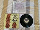 The Story So Far ‘Under Soil And Dirt’ Black Vinyl 180 g Limited Edition TSSF