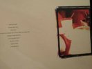 TEXAS IS THE REASON - DO YOU KNOW WHO YOU ARE VINYL RECORD VG+