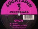 Orca - Intalect / Tranquility To Earth - Lucky Spin LSR016 Intellect ?*Listen*