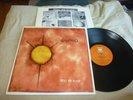 DOUGHNUTS Victory Records LP vinyl 1996 masshysteri HARDCORE refused vicious