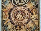 THE CROSS Roger Taylor QUEEN Mad Bad And Dangerous To Know UK LP MINT condition 