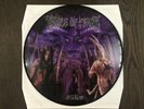 Cradle Of Filth Midian Vinyl LP (2003, Vinyl Maniacs) Picture Disc
