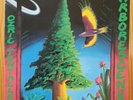 Ozric Tentacles 