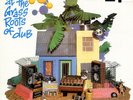 Lee Perry - Experyments At The Grass Roots Of Dub LP Vinyl (1995)