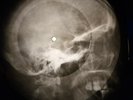 Bob Dylan - Knockin On Heavens Door X-RAY OF THE USSR X-RAY BONES RECORD