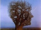 PINK FLOYD VINYL LP - BRAVE NEW WORLD - VINYL COULEUR - COLORED VINYL
