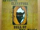 13th FLOOR ELEVATORS 
