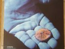 Coldplay 12” - Blue Room EP vinyl - Number 1901 - BEAUTIFUL CONDITION - Safety