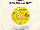 THE NEW WANDERERS RARE SOUL PROMO THIS MAN IN LOVE FROM 1979 MINT COPY