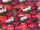 Thee Oh Sees - Floating Coffin LP - VINYL ALBUM - SEALED NEW RECORD + DL