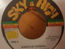 FIRE FACTS - 'Earth in Turmoil' - rare original press SHAKA classic 90s JA roots