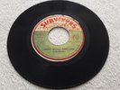 SURVIVORS THIRD WORLD REBELLION ORIGINAL 1977 JAMAICA 7