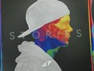 Avicii “Stories” 2x LP Vinyl 12