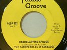 Sandpebbles - Handclapping Spouge / Girl I Want It 45 Pebble Groove Calypso Funk