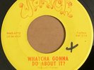 RARE MN Garage Psych 45 rpm The Litter-Whatcha Gonna Do/Action Woman Warick