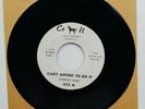 Homesick James - Can't Afford To Do It - Chicago Blues 1961 US Original Promo