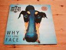 BIG COUNTRY 'WHY THE LONG FACE' LIMITED EDITION 1995 STEREO LP EX/EX