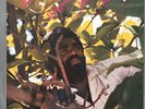 Junior Byles - Rasta No Pickpocket Reggae Vinyl LP 1986