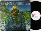 Lonnie Liston Smith - Visions Of A New World LP - Flying Dutchman