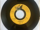 Rare DooWop 45 RANDY LEE Never Ever / I Never Knew SPANN 402 Vinyl Record HEAR