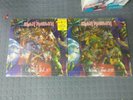 Iron maiden 4 lp colour 2 box sets limited edition.