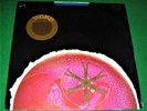 WOMB: Womb S/T LP Vinyl Dot Records 1969 Psych-Rock Acid Jazz-Rock RARE Sealed