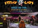 Stray Cats **Rocked This Town: From La To London *NEW RECORD LP VINYL